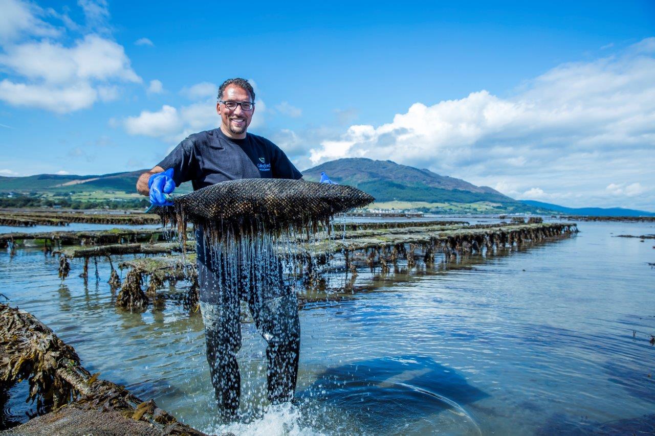 The pearl of Co. Louth food businesses, Carlingford Oyster Company, completes half a million euro investment, with support from BIM