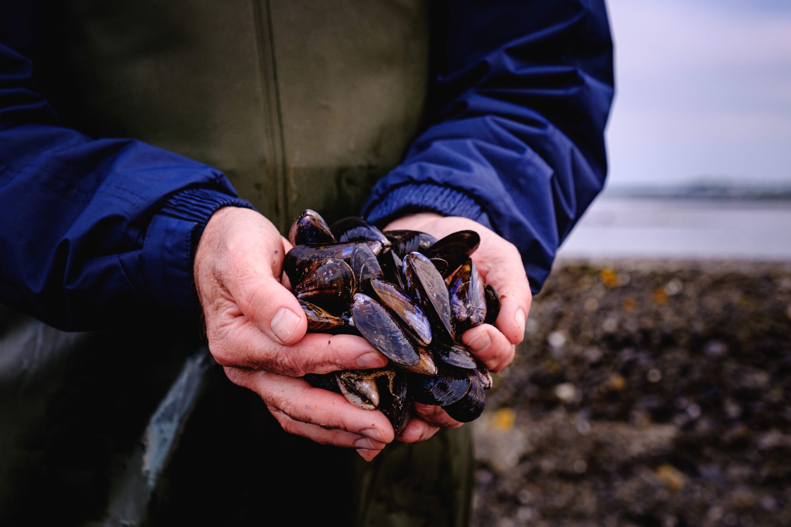 Annual Aquaculture Report shows resilience of Irish aquaculture sector